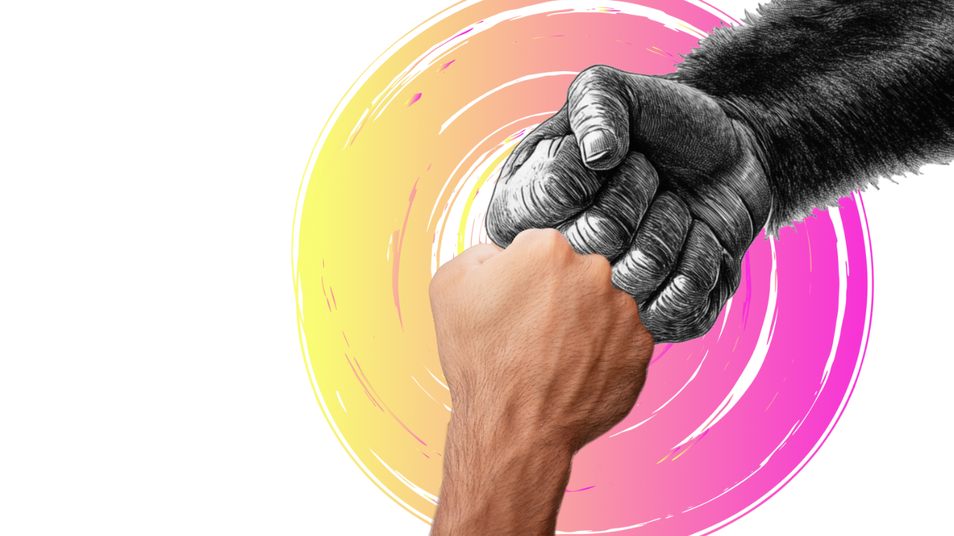 A human fist bumping a gorilla in front of a pink and yellow circular background